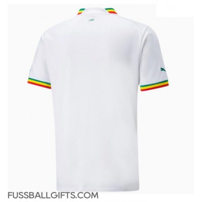 Senegal Fußballbekleidung Heimtrikot WM 2022 Kurzarm
